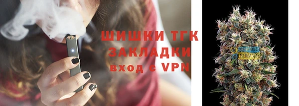 прущие грибы Алексеевка