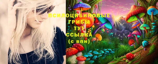 ешки Абдулино