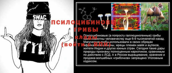 амф Абинск