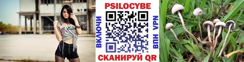 Галлюциногенные грибы ЛСД KRAKEN ONION Юхнов